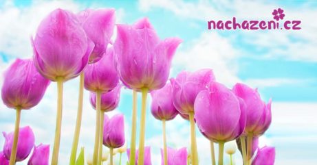 Máte nekonečný potenciál - nachazeni.cz
